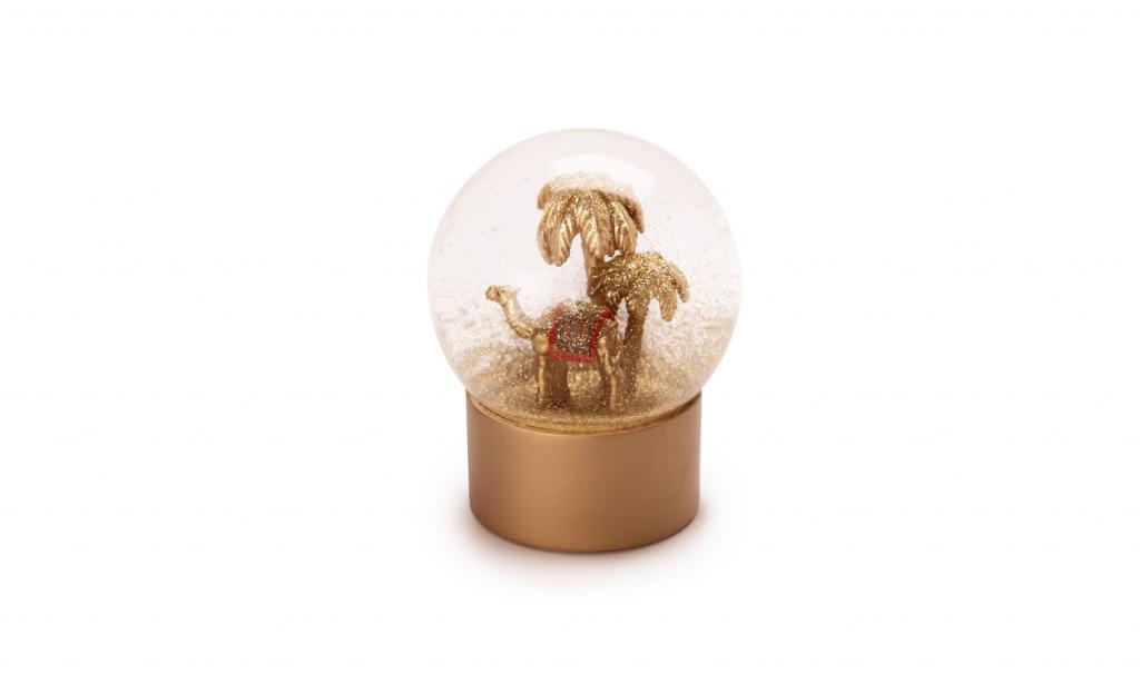 Globe Camel Box